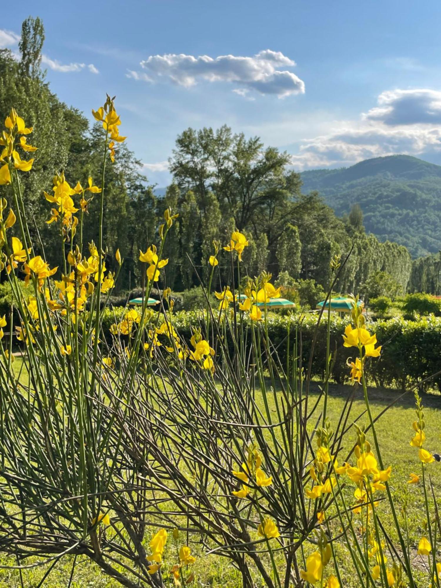Cerqua Rosara Residence Valtopina Εξωτερικό φωτογραφία